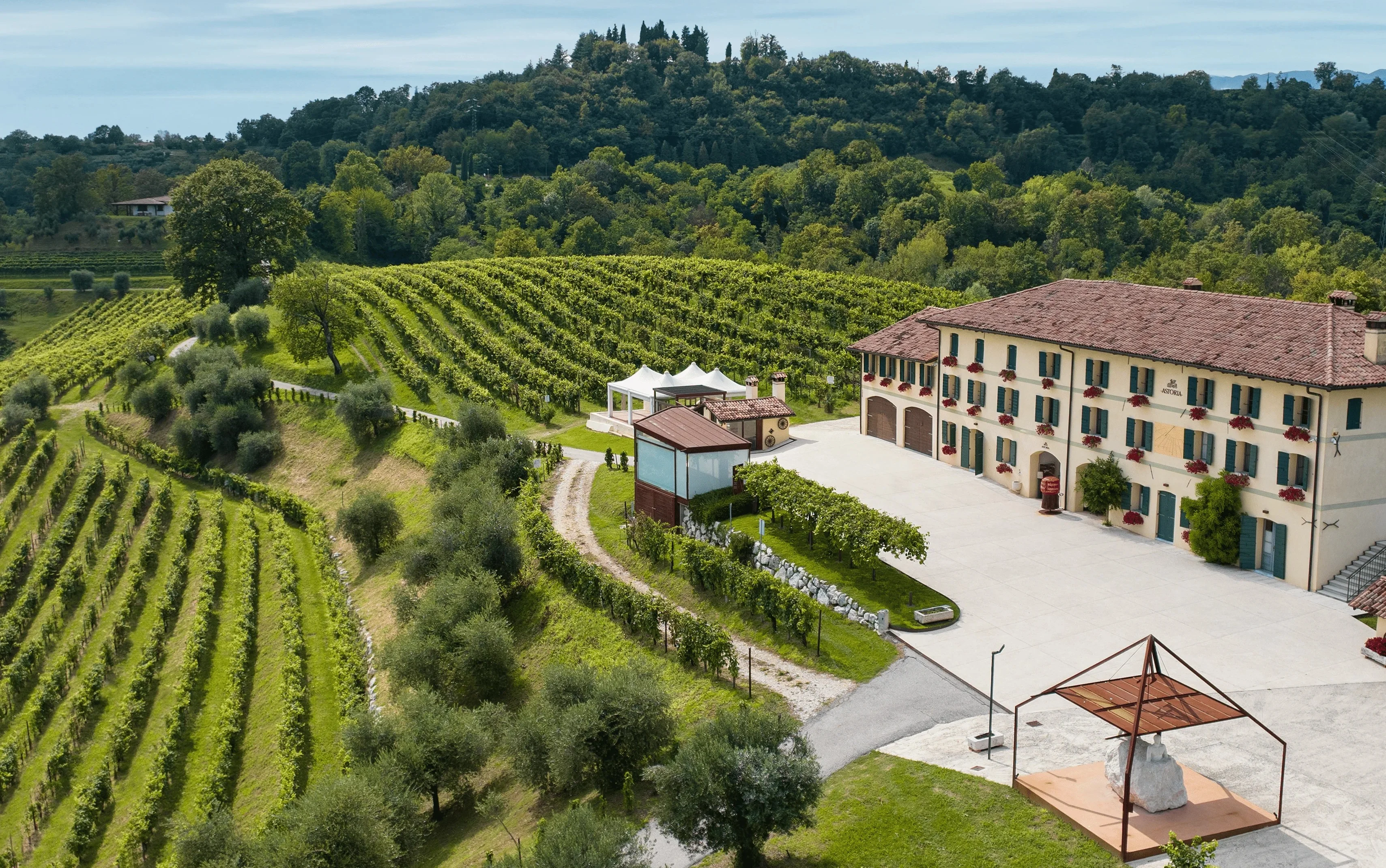 Lo spirito di Astoria Wines